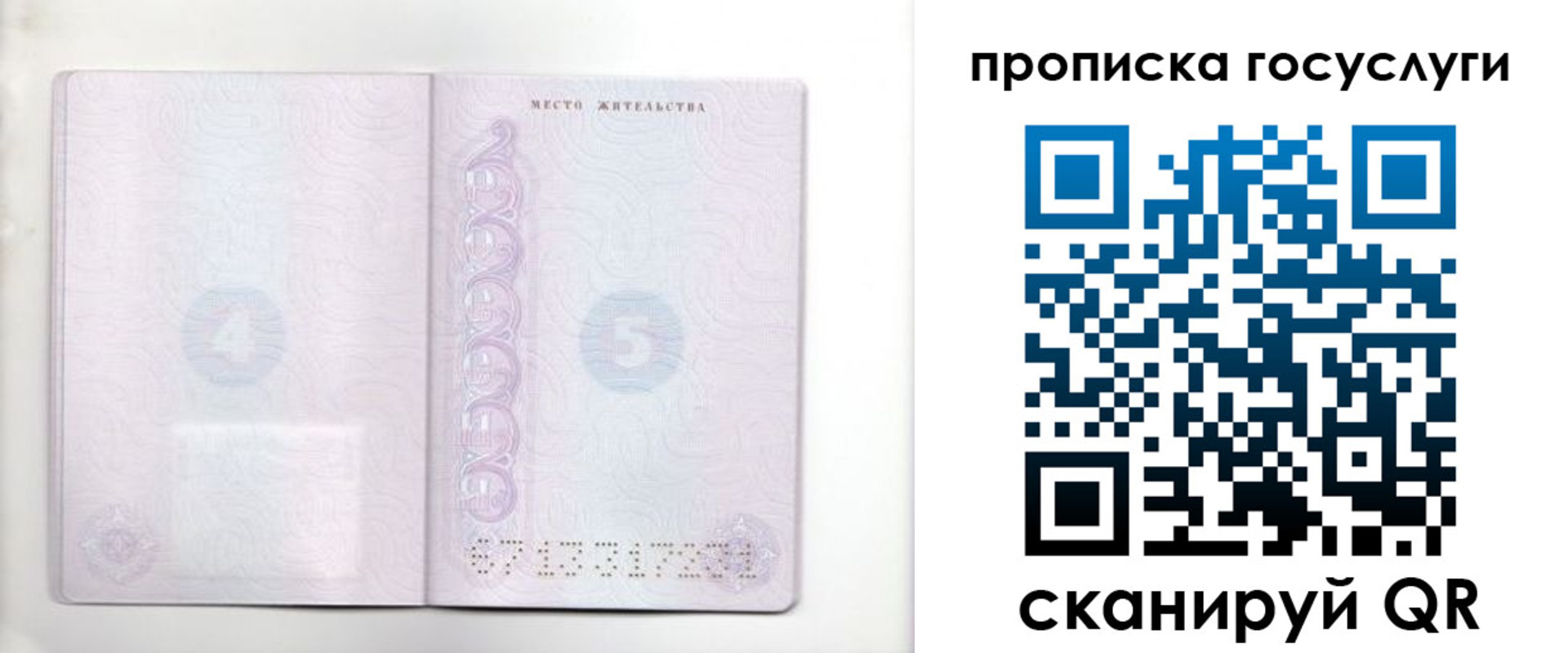временная регистрация госуслуги в Курске