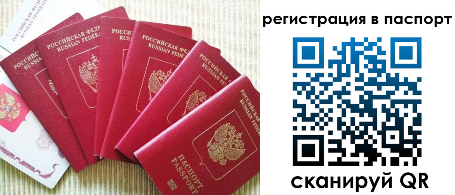 временная регистрация адрес в Курске
